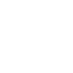 Auto Maintains