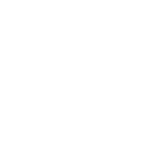 Genius Battery Chargers