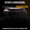 NOCO NCP2 Battery Corrosion Preventative Dipped Battery Corrosion Terminal Protectors Stop Corrosion
