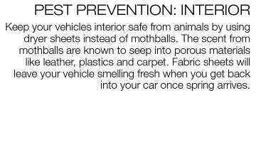 Brief paragraph about using Fabric softener sheets on the floor of a vehicle to repel any pests while the it is stored for the winter.